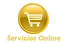 Servicio de Consultor&iacute;a Internet